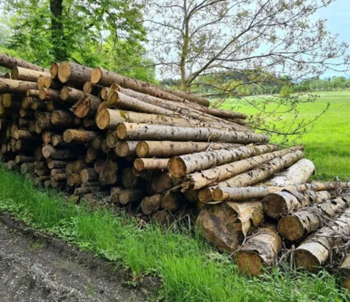 PEFC-zertifizierte Fichtenstämme pro LKW-Ladung – 60 m³ Frischholz in hochwertiger Forstqualität